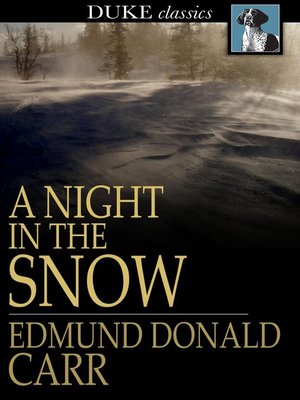 A Night in the Snow - ebook